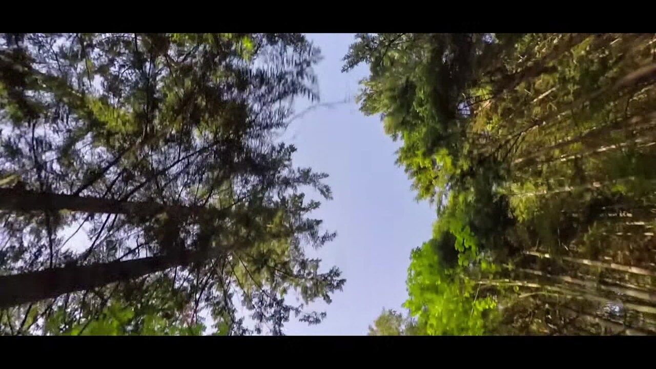 Video der Unterkunft