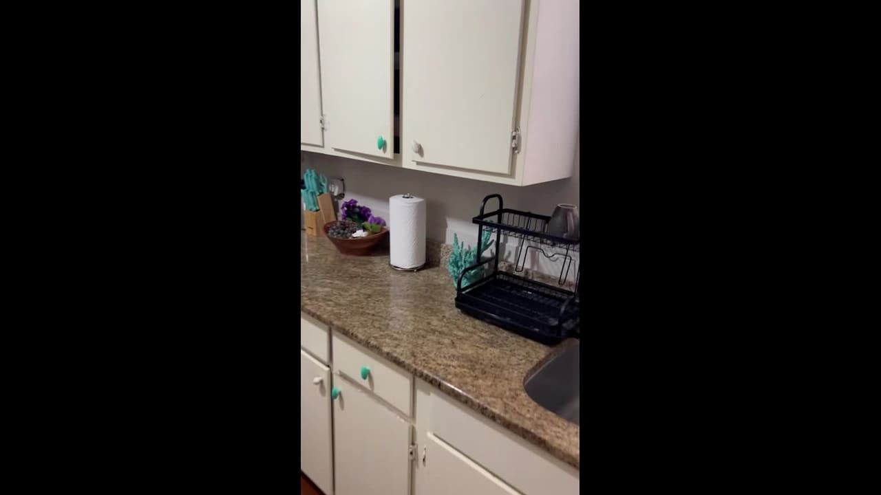 Vidéo de l’hébergement