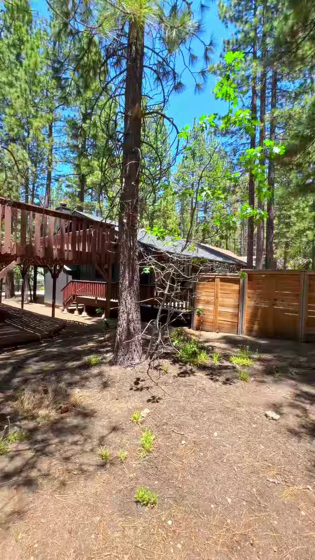 Property video