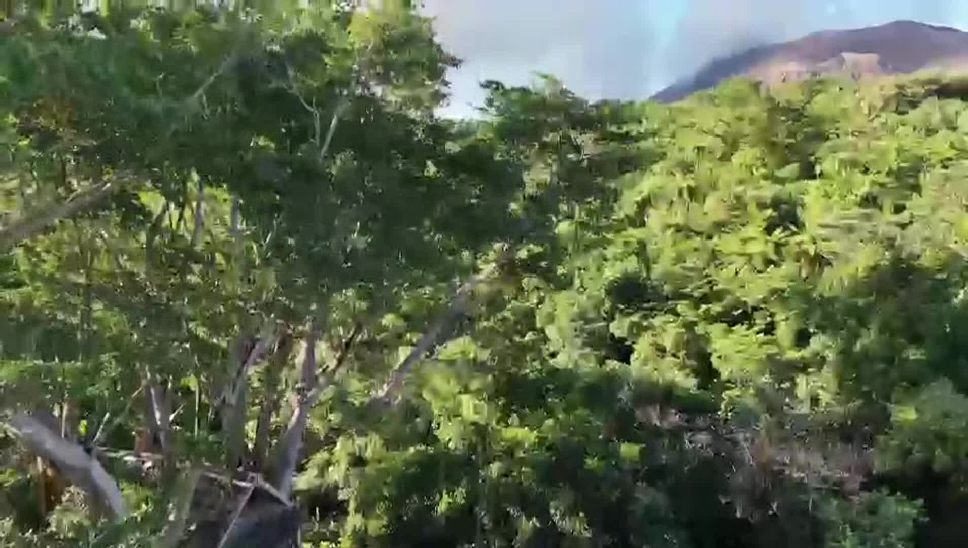 Property video