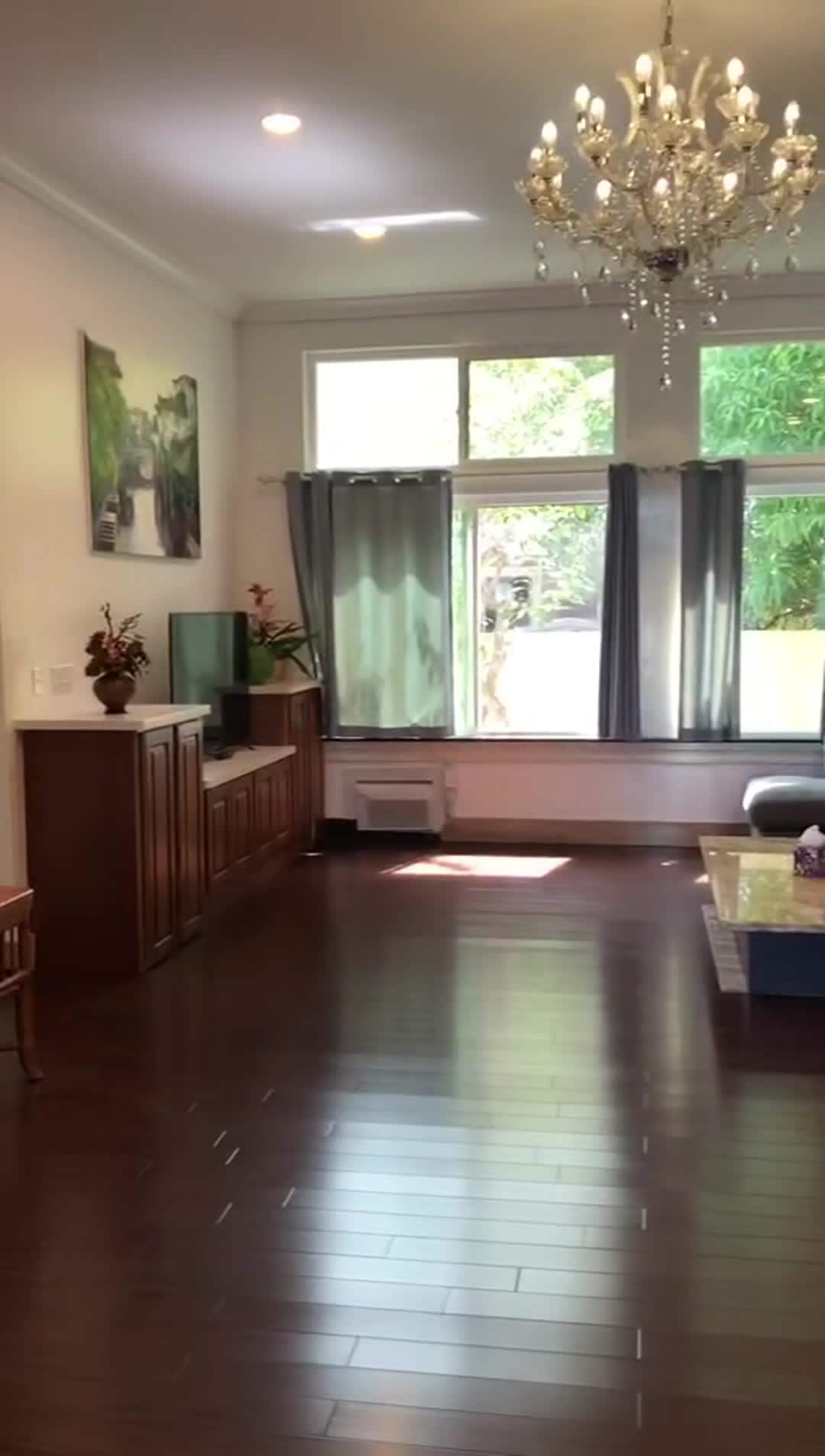 Video realizado por la propiedad