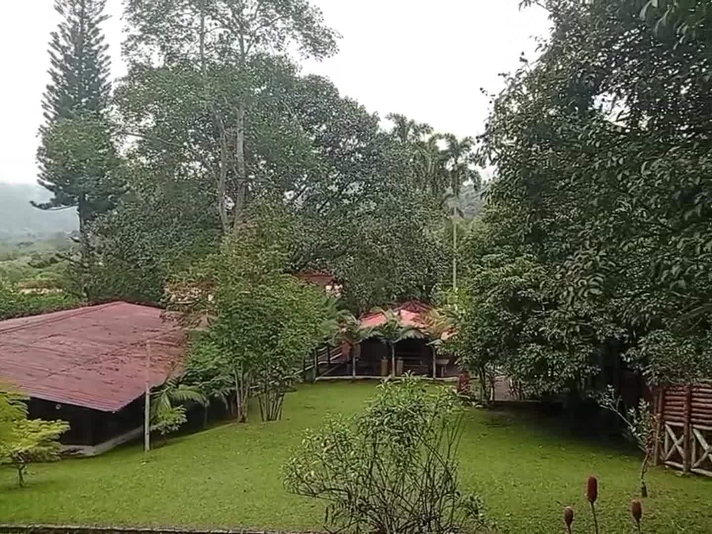 宿泊施設による動画