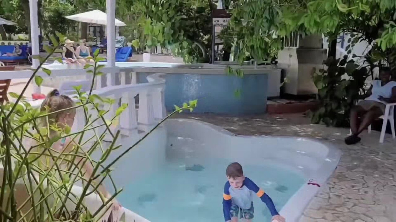 Property video