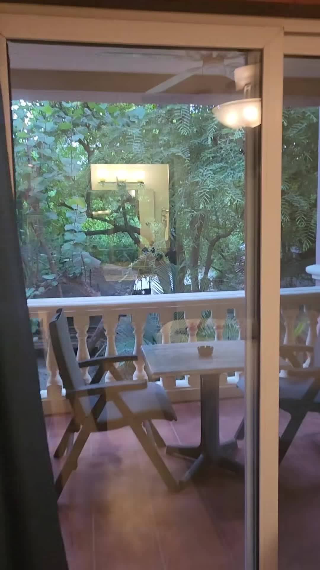 Property video