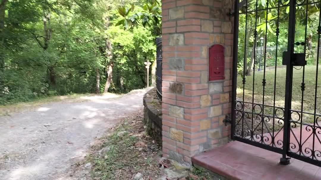 Property video