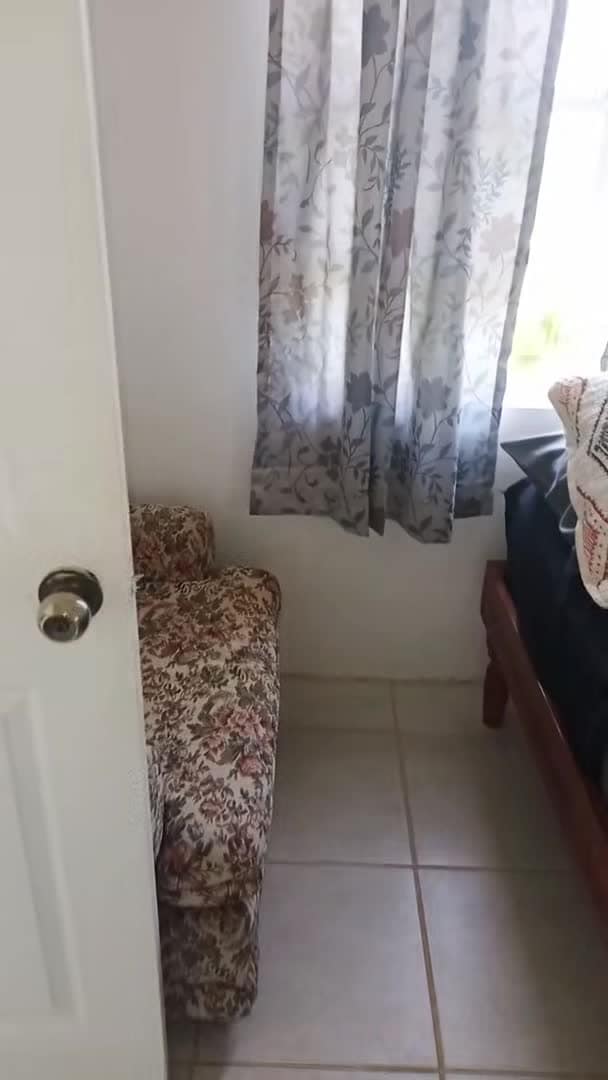 Video realizado por la propiedad
