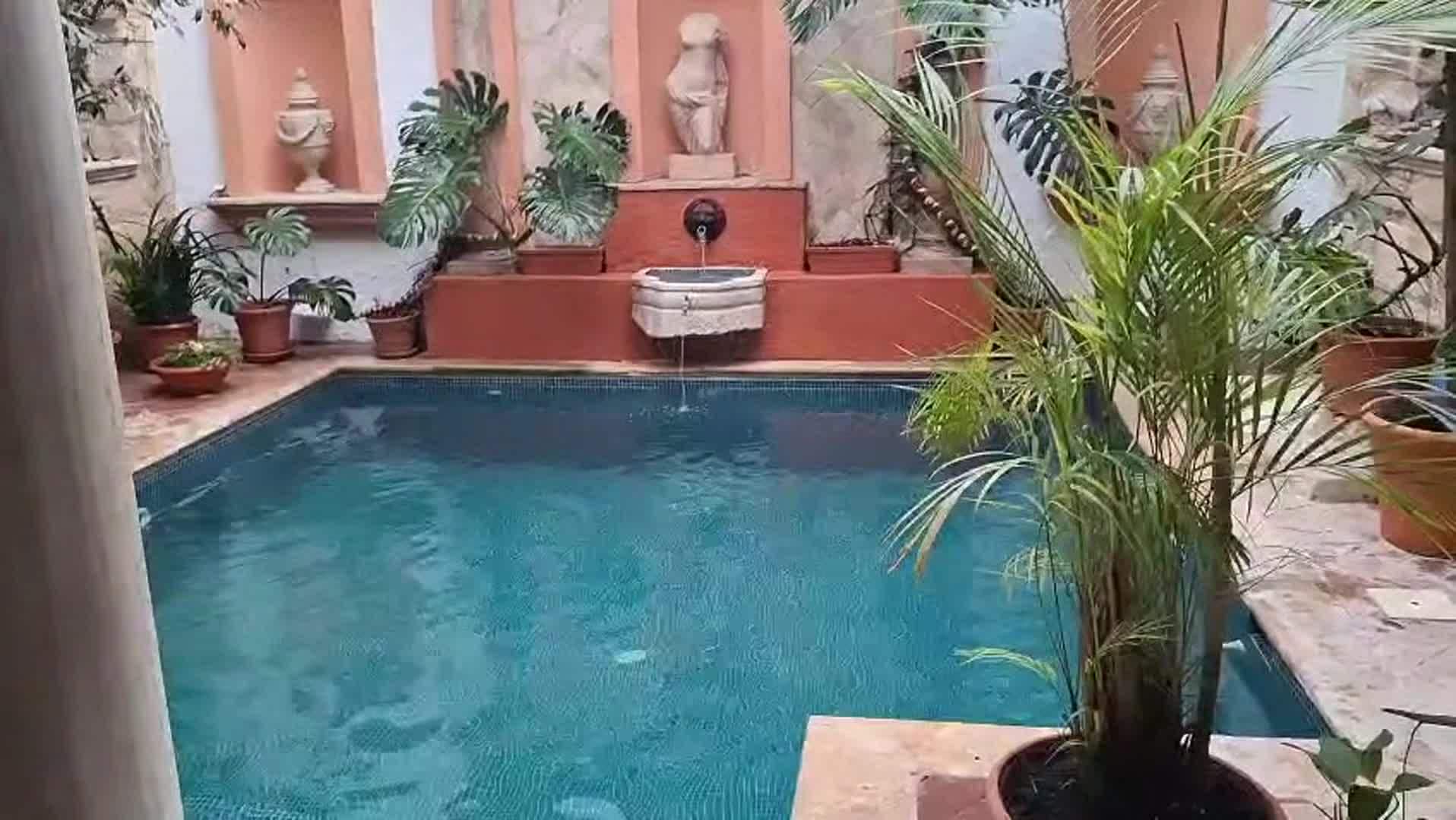 Video realizado por la propiedad