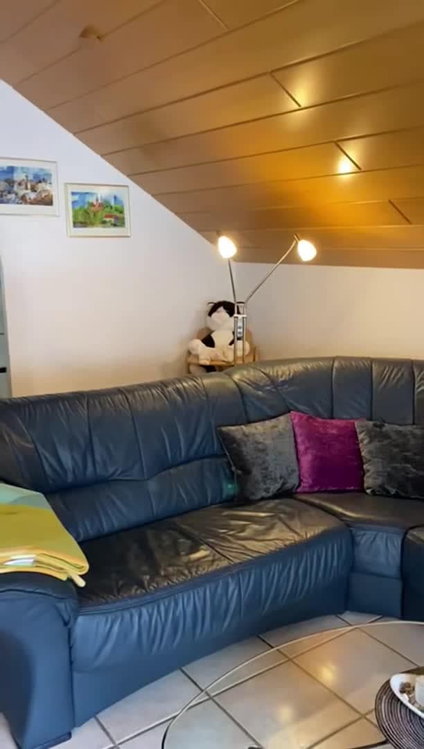 Property video