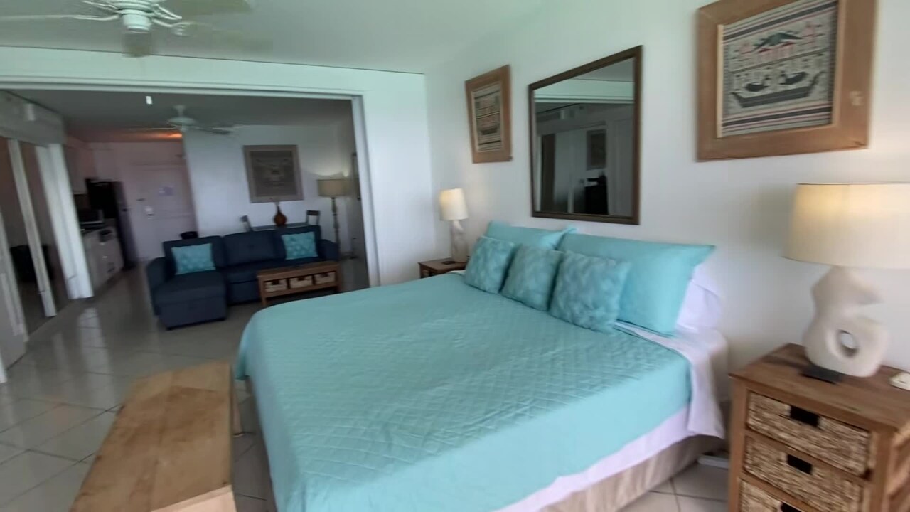 Property video