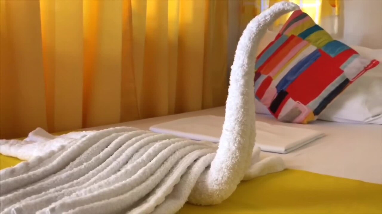 Property video