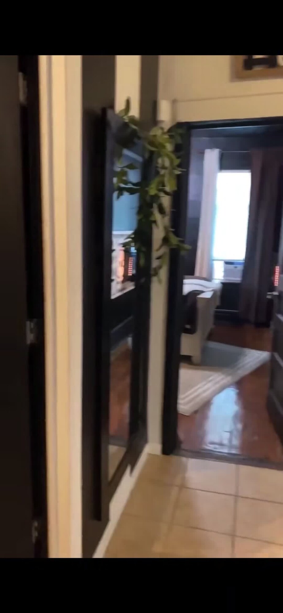 Video realizado por la propiedad