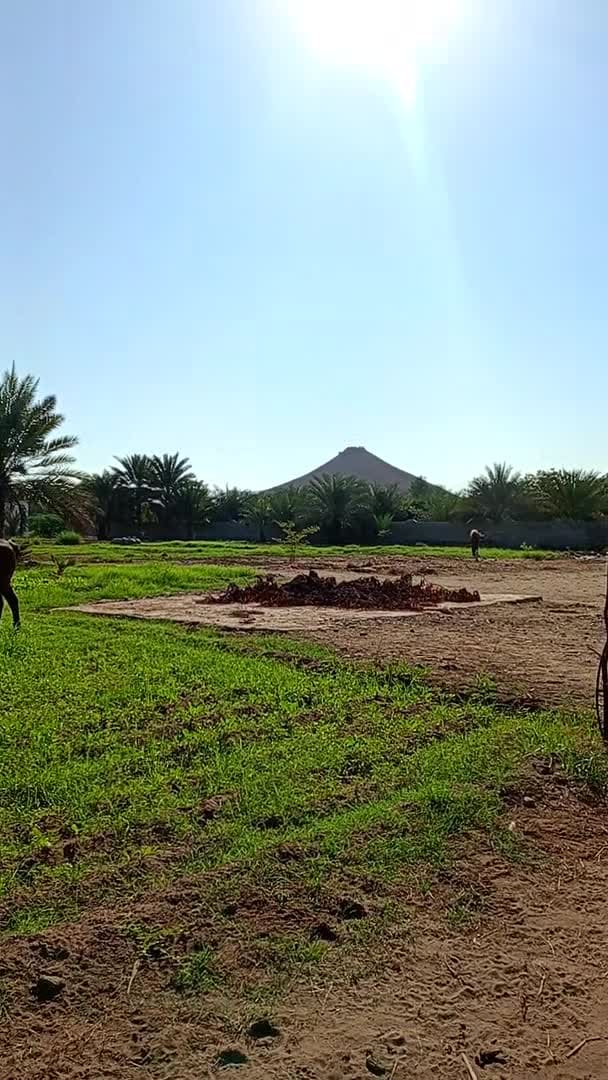 Video der Unterkunft