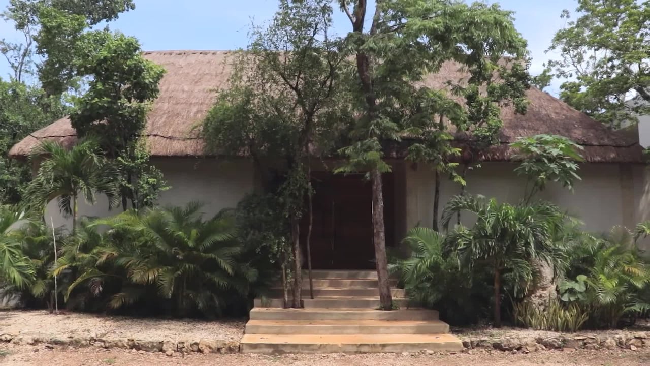 Property video