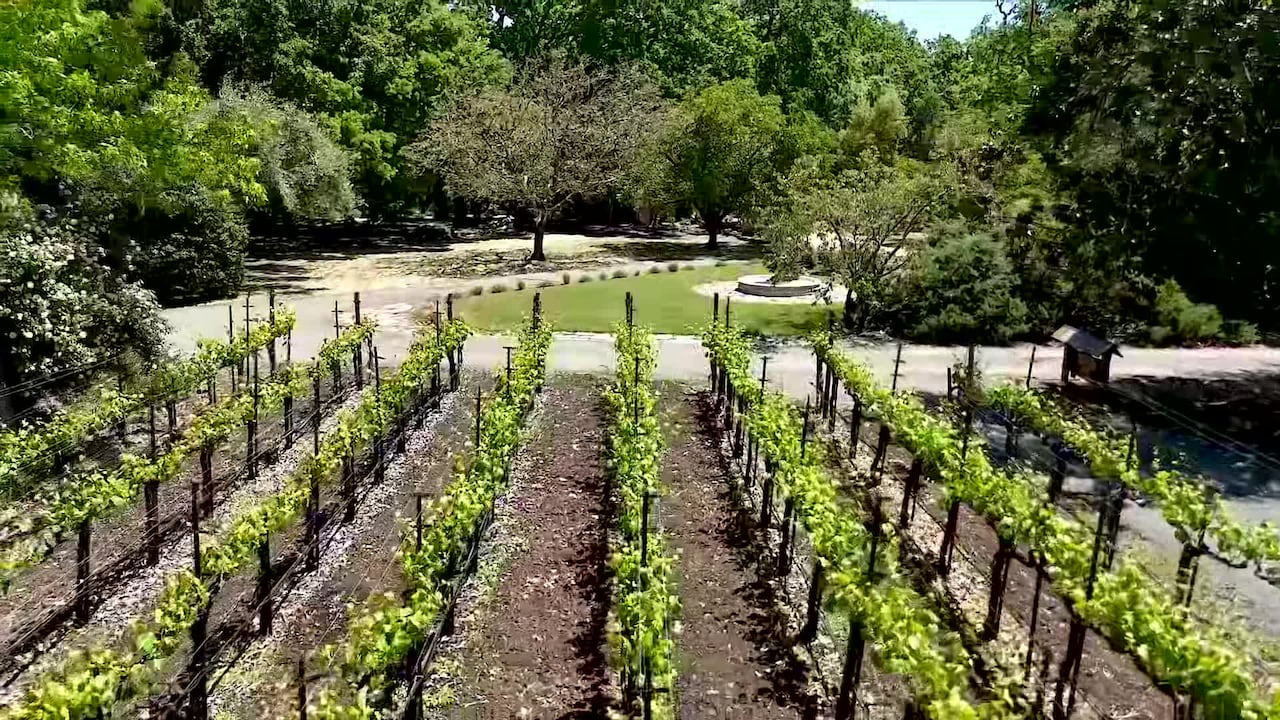 Video realizado por la propiedad
