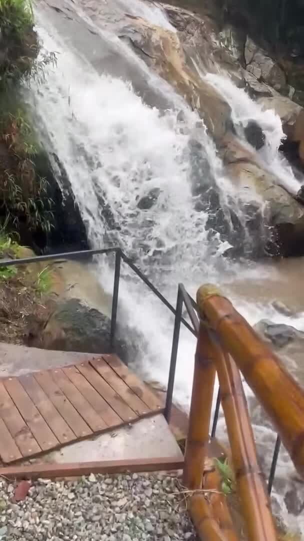 Video realizado por la propiedad