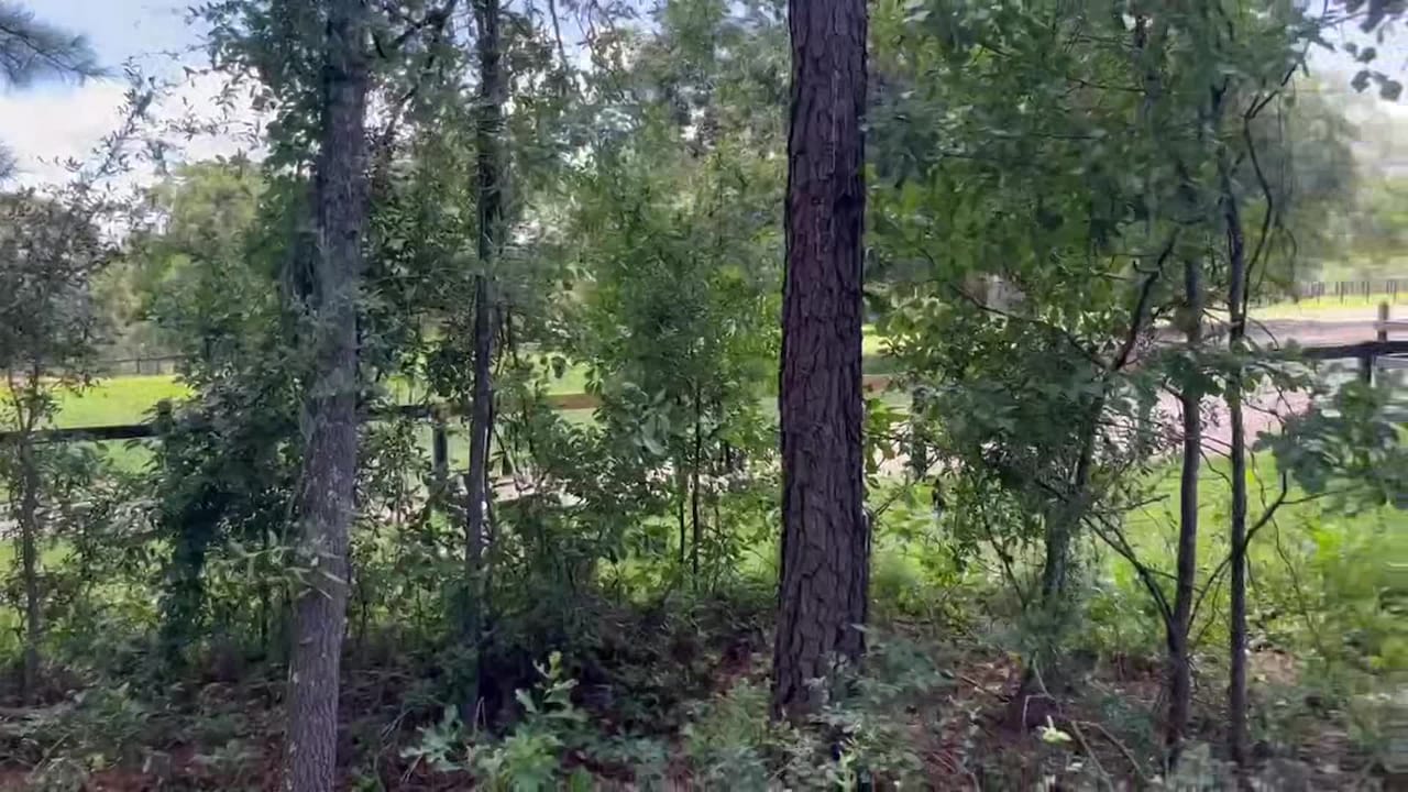 Vidéo de l’hébergement