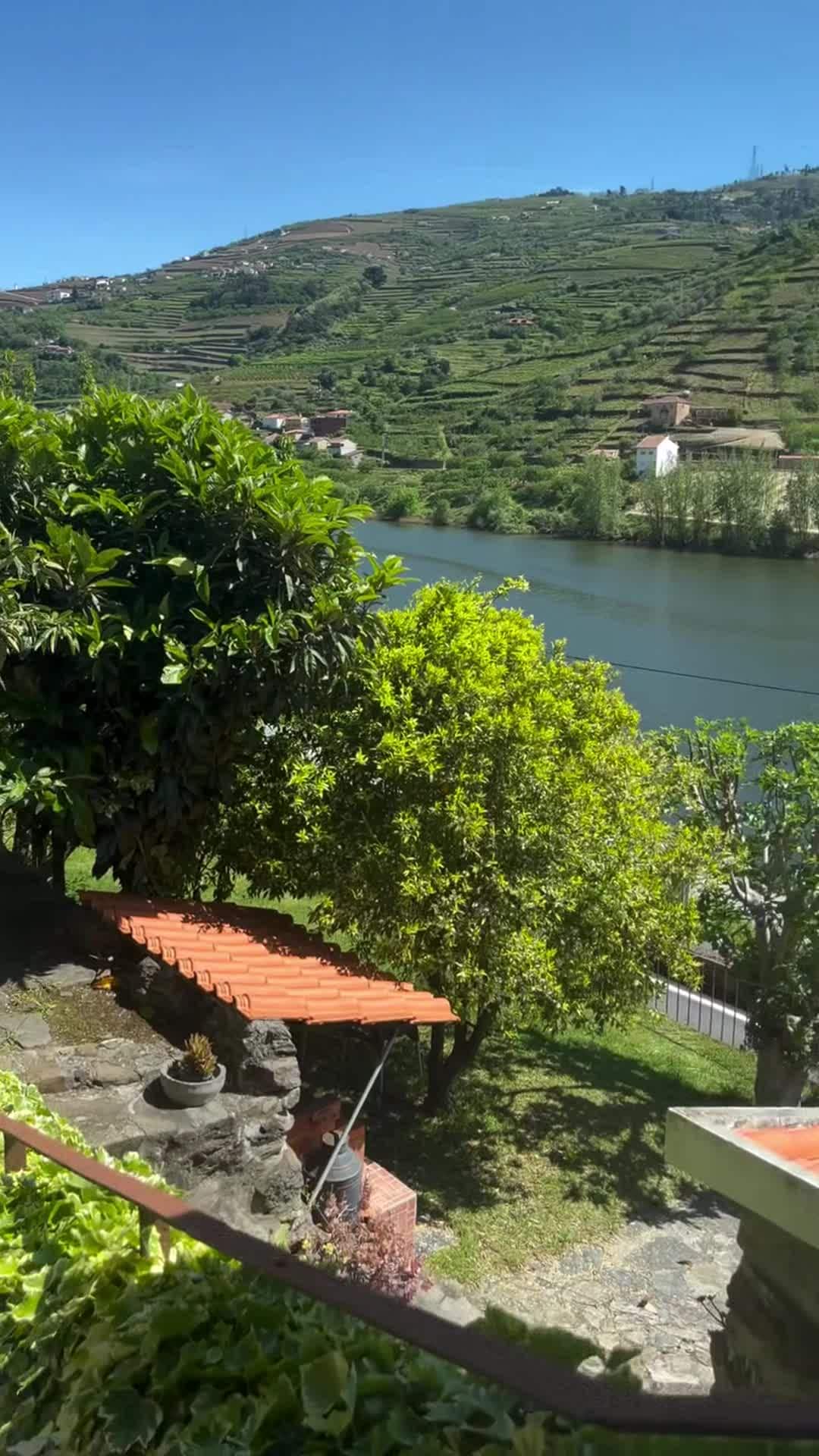 Property video