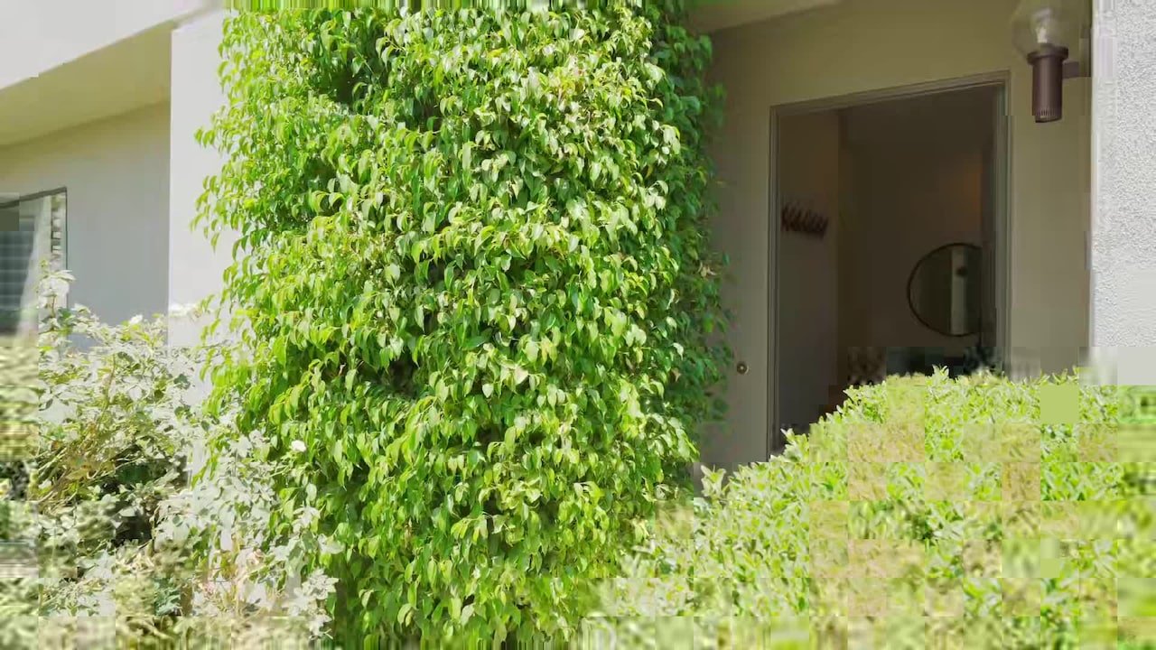 Vidéo de l’hébergement