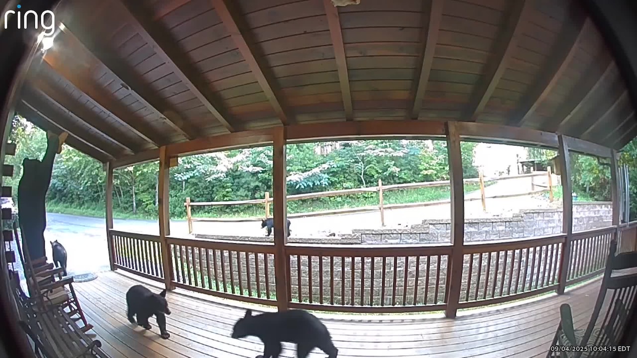 Property video