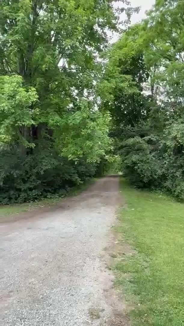 Property video