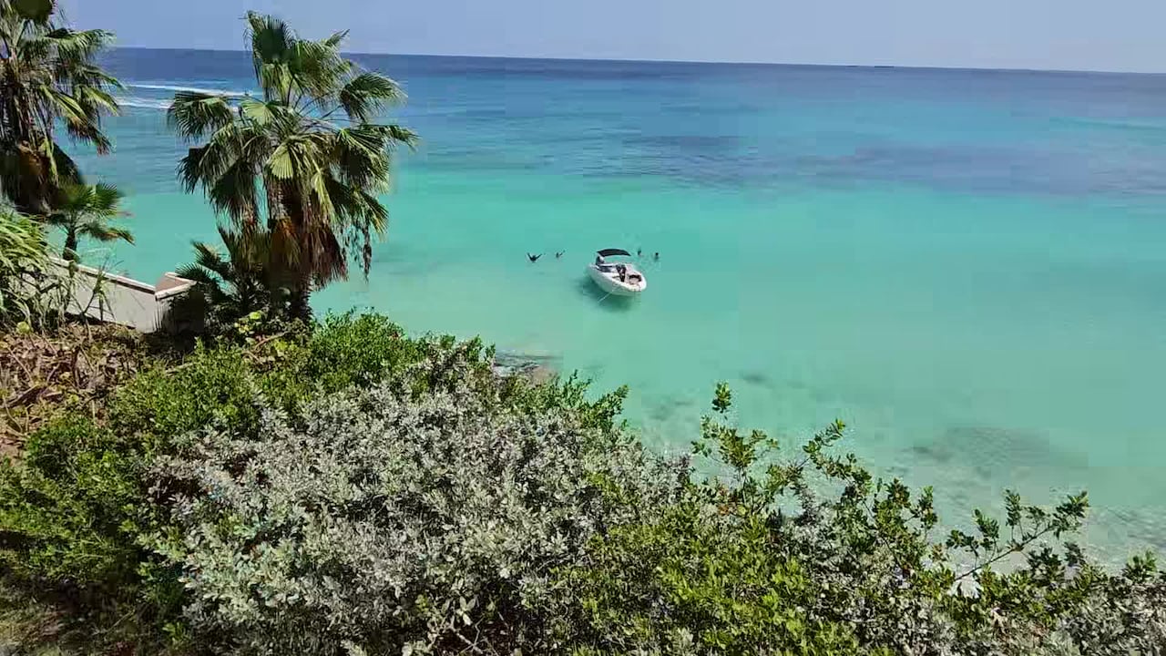 Property video