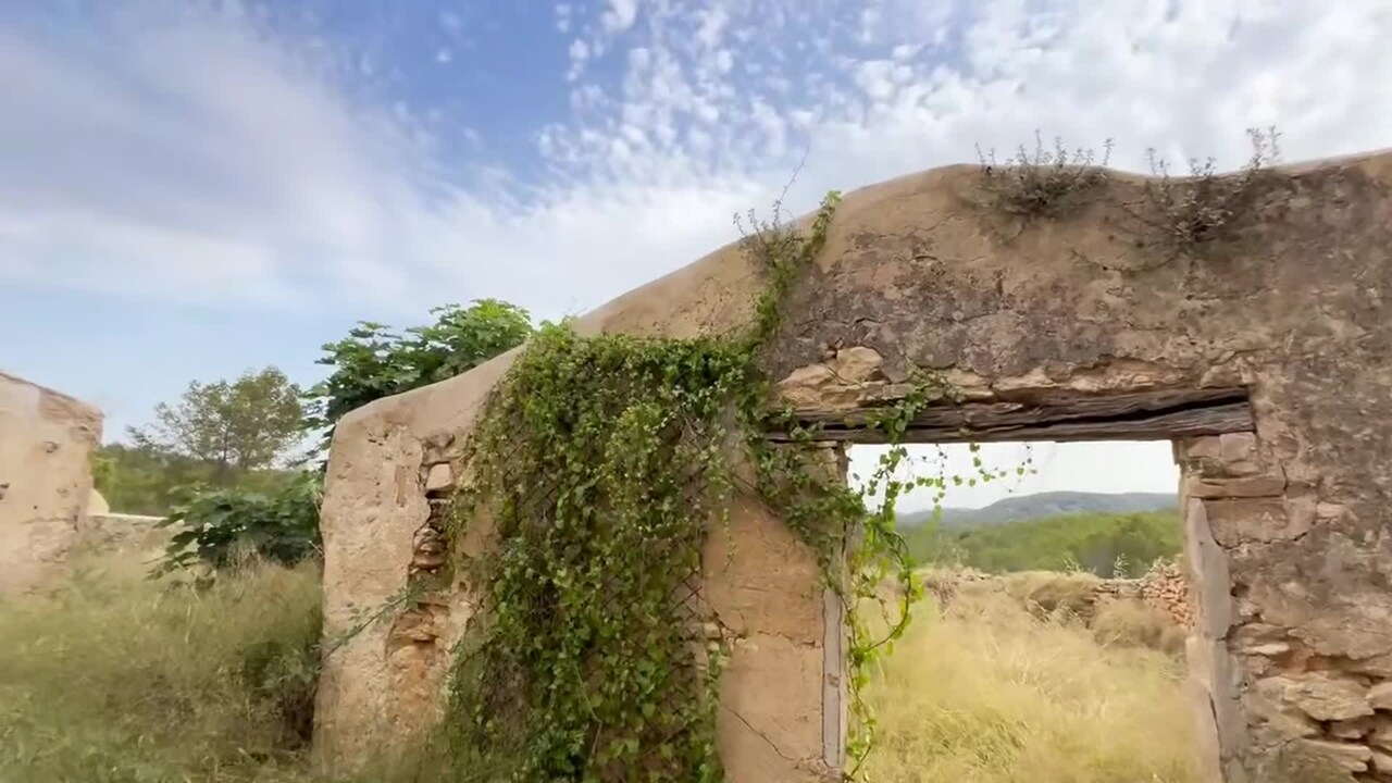 Video realizado por la propiedad