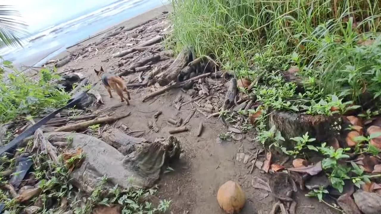 Majoituspaikan video