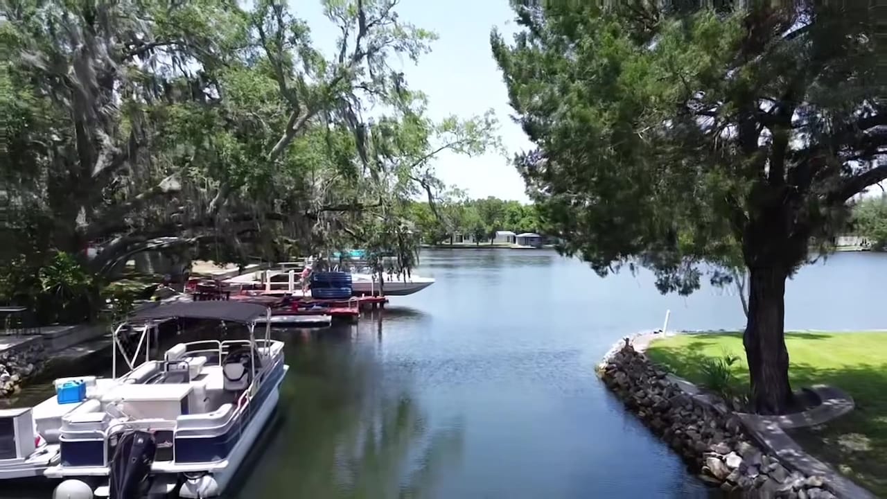 Video realizado por la propiedad