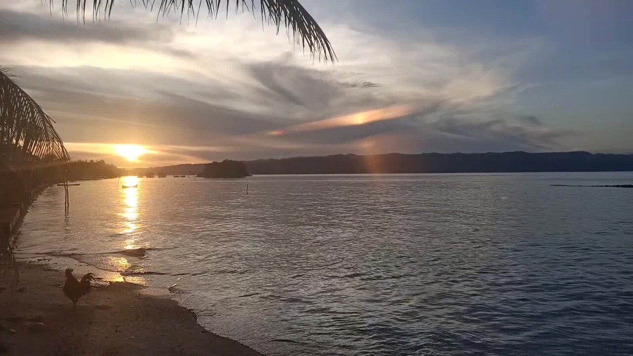 Vidéo de l’hébergement