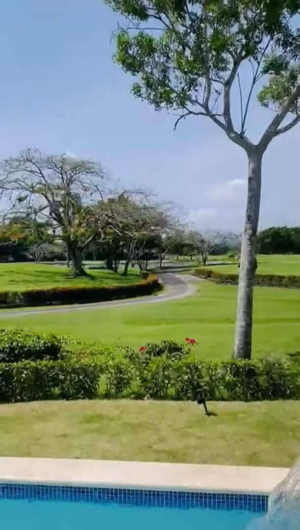 Property video