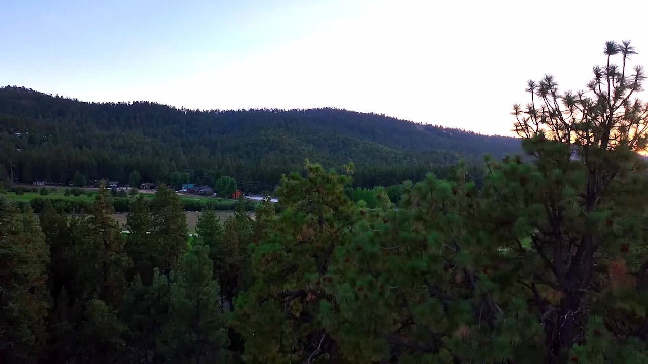 Property video