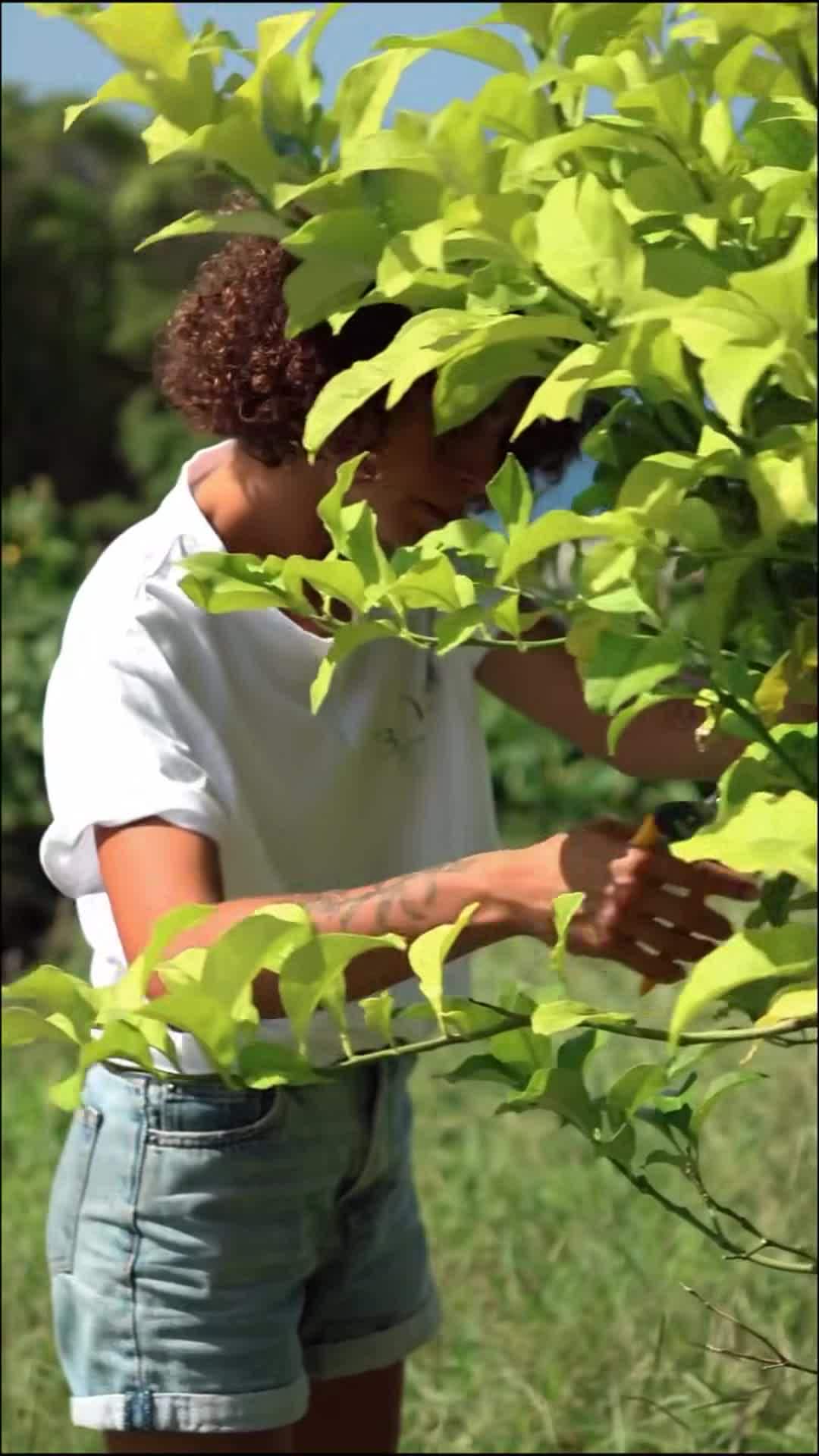 Video der Unterkunft