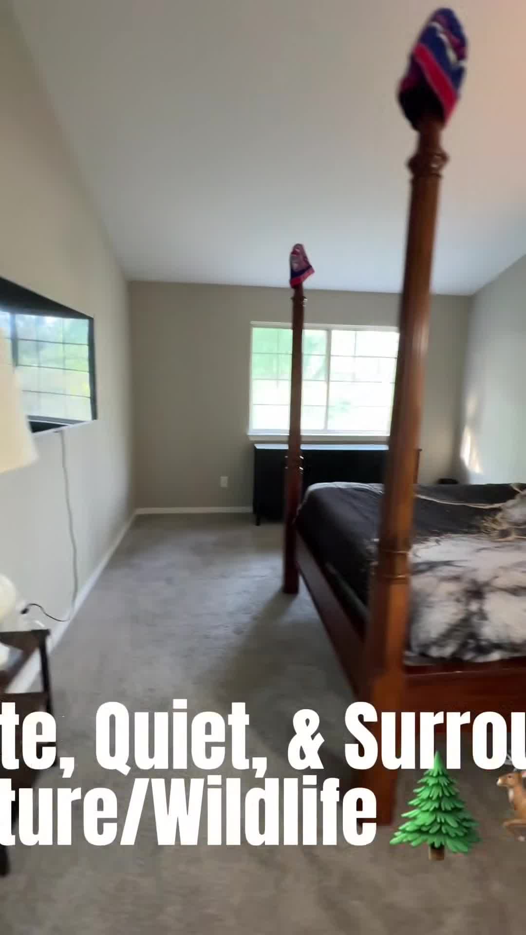 Property video