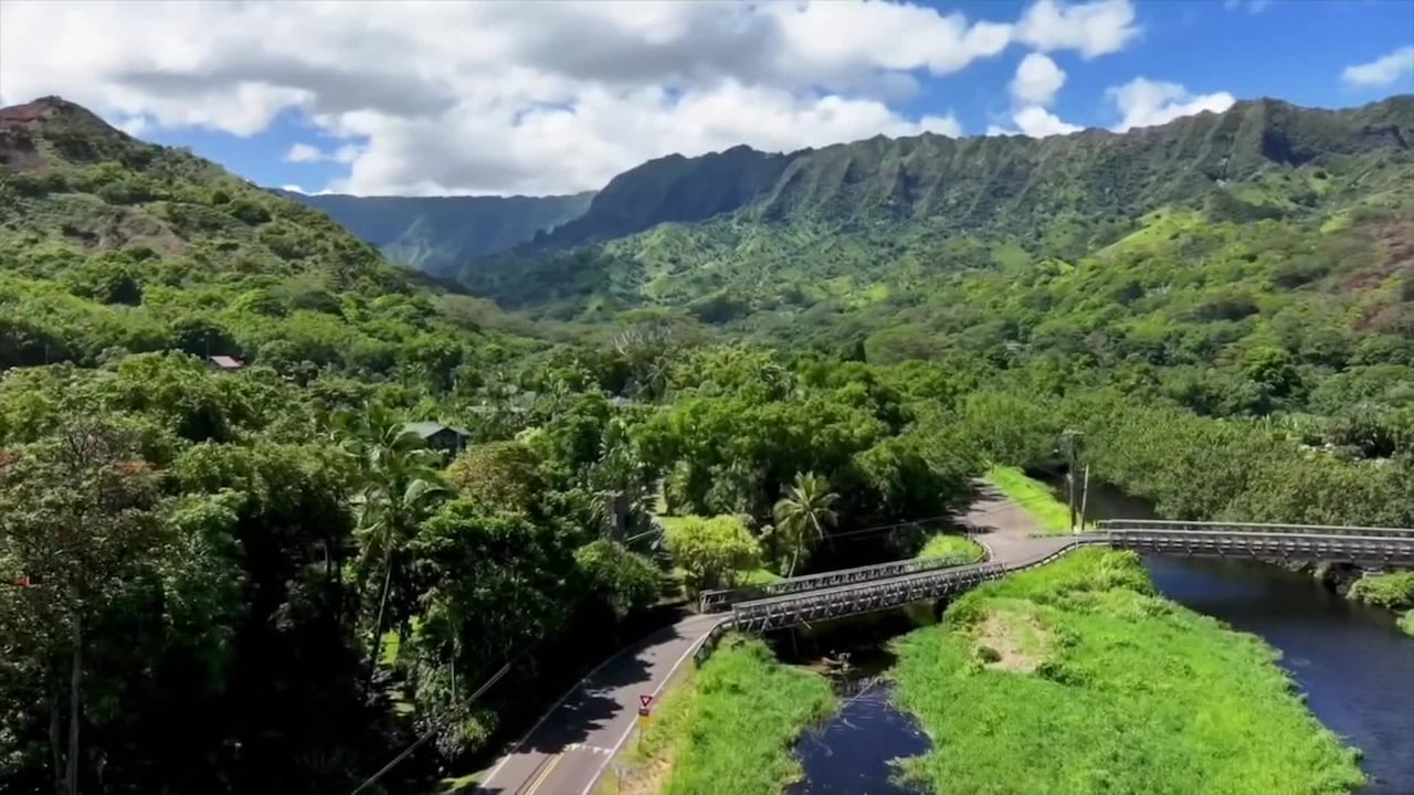 Property video