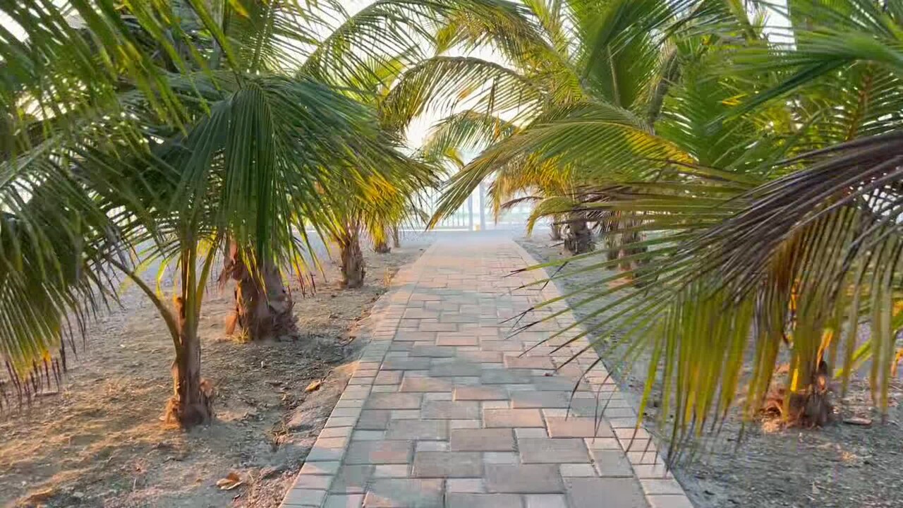 Property video