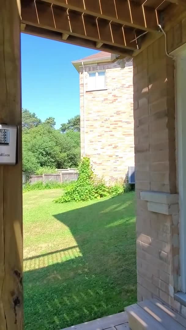 Property video
