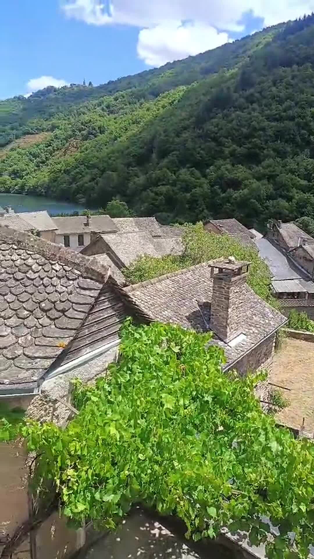 Vídeo da propriedade