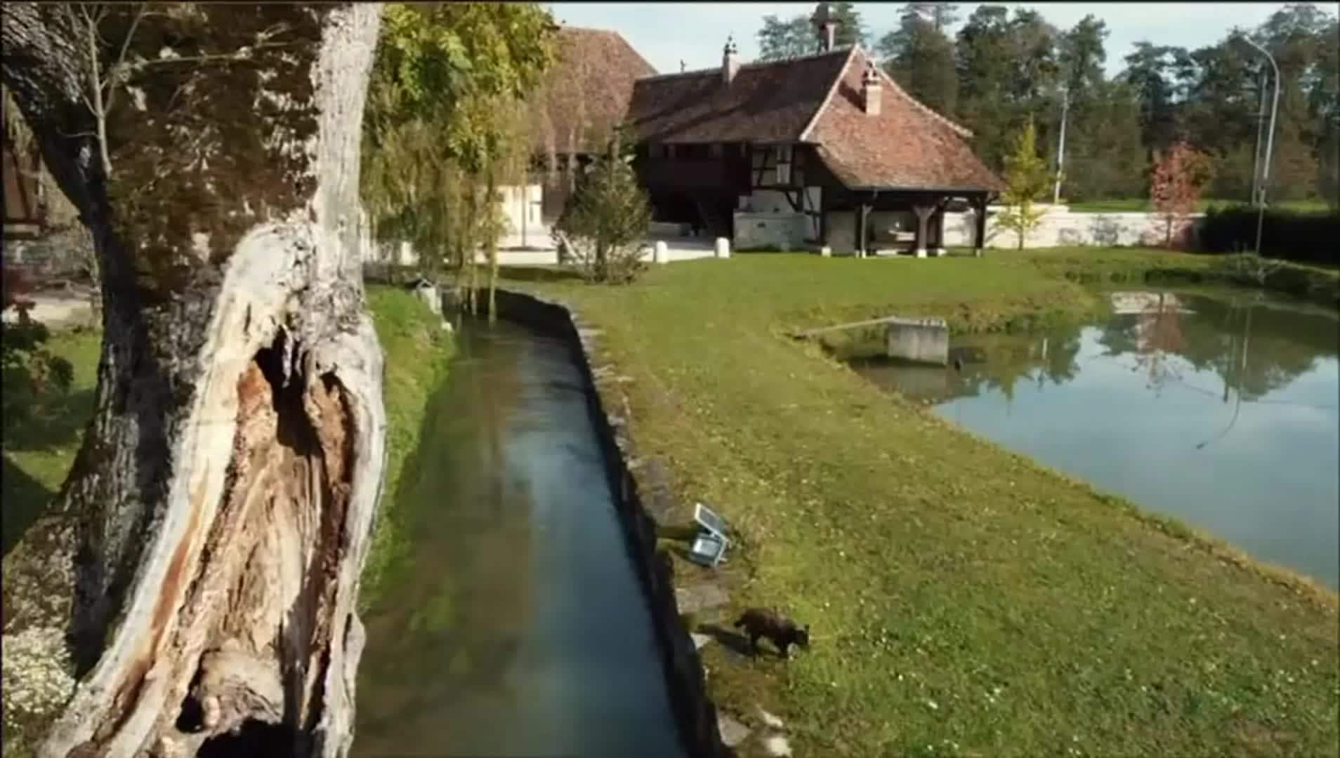 Video der Unterkunft