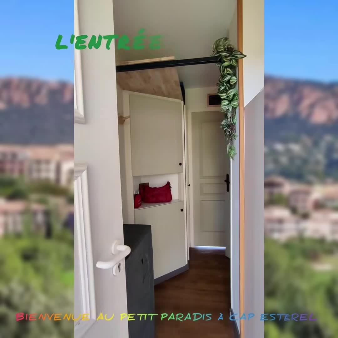 Property video