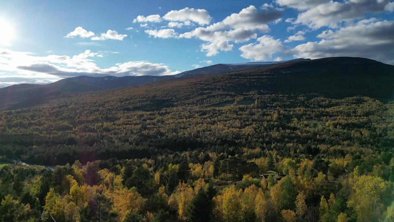 Video realizado por la propiedad