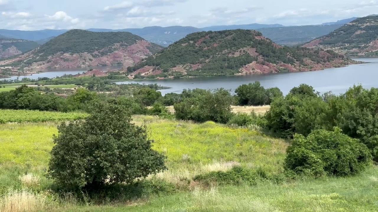 Property video