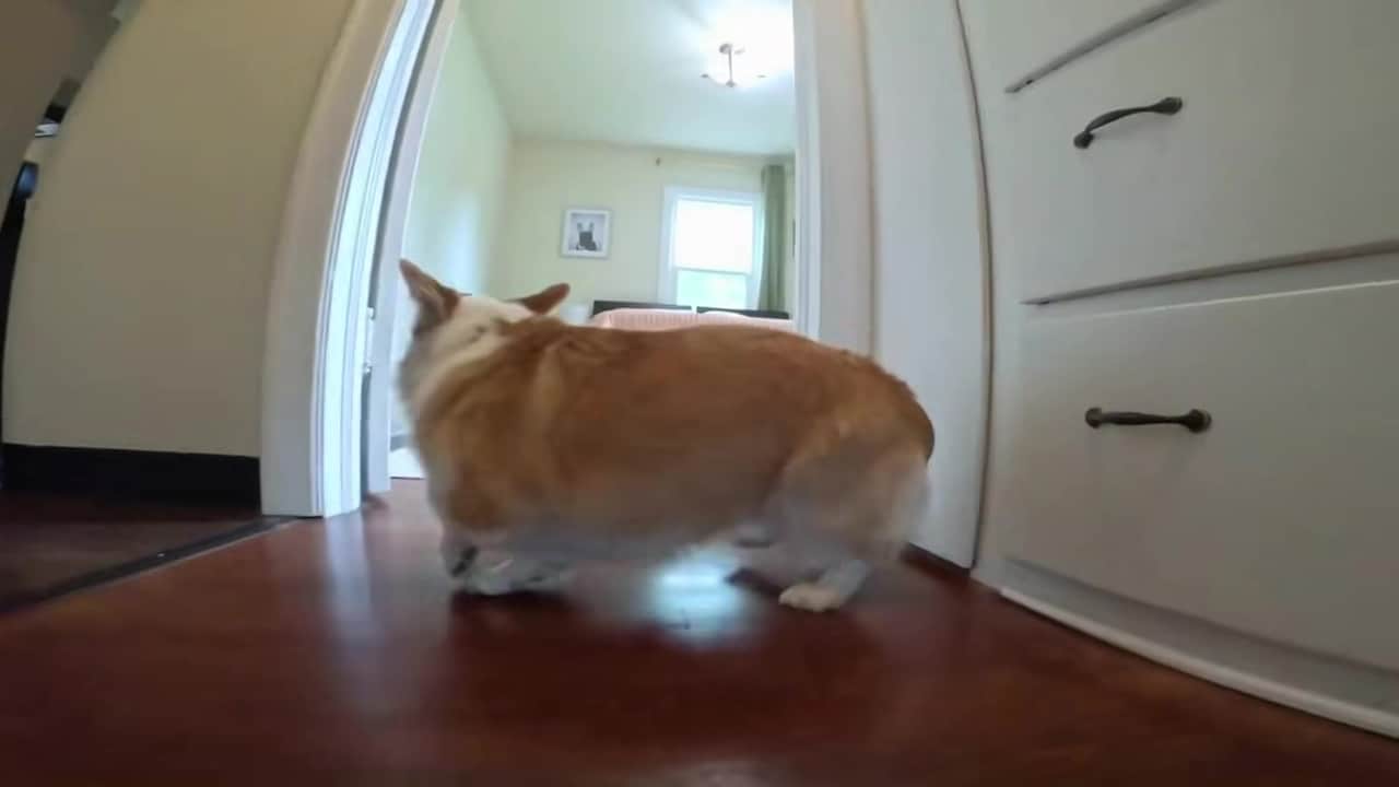 Property video
