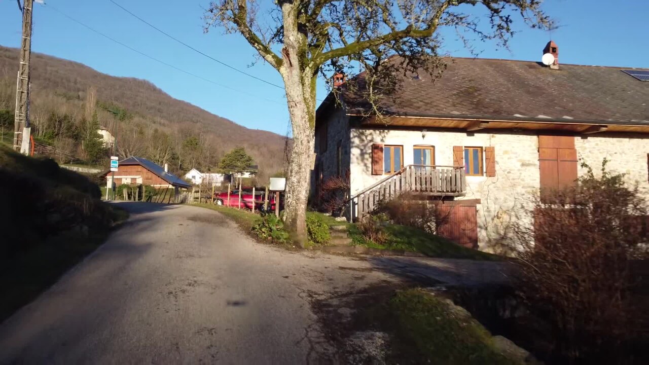 Property video