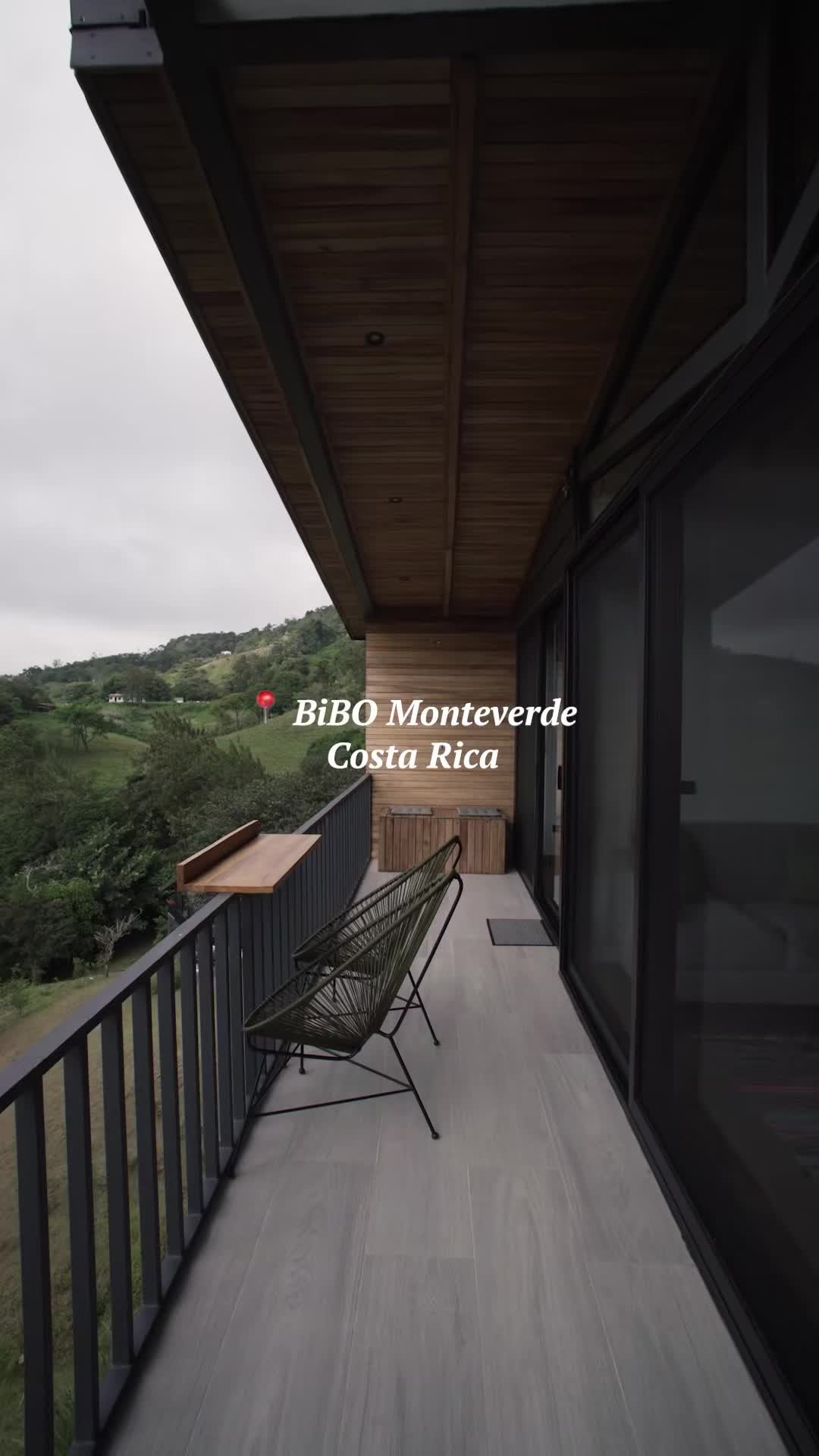 Video realizado por la propiedad