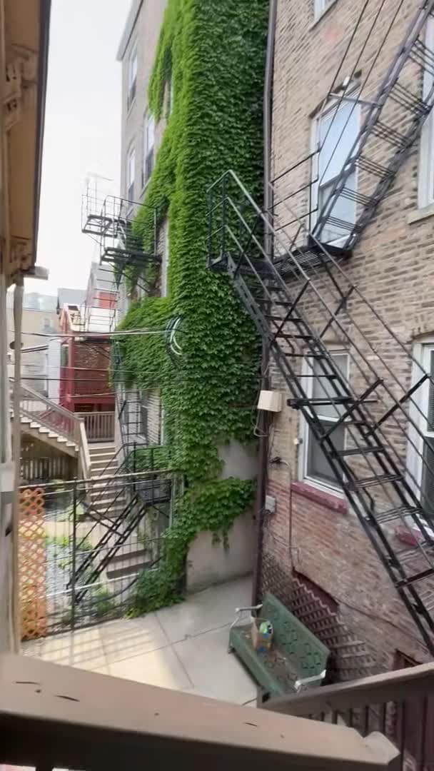 Property video