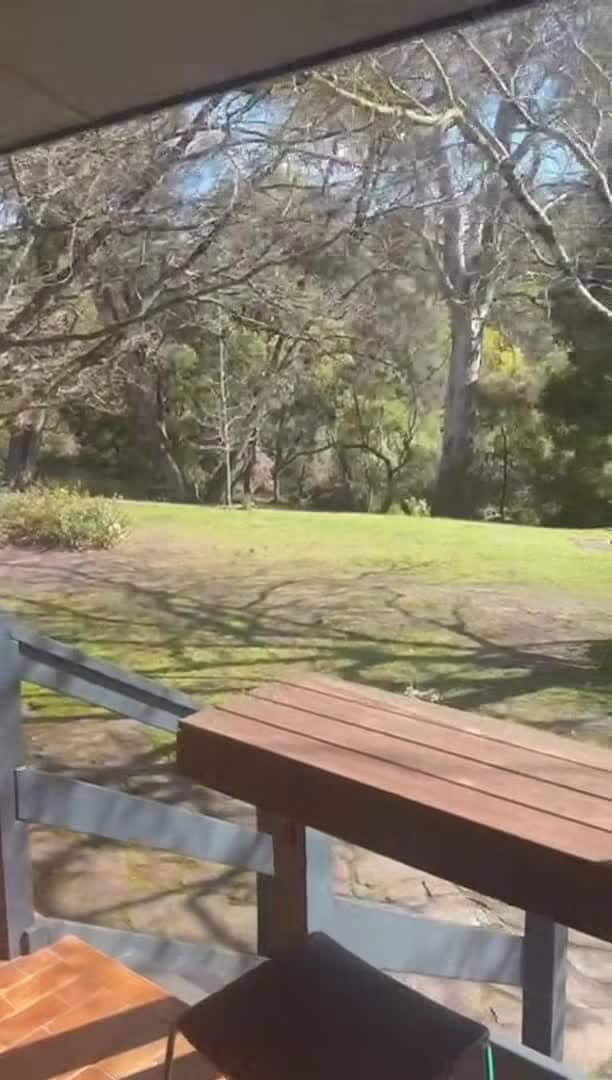 Video realizado por la propiedad