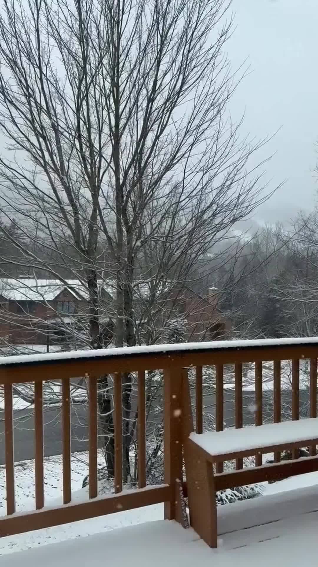 Vidéo de l’hébergement