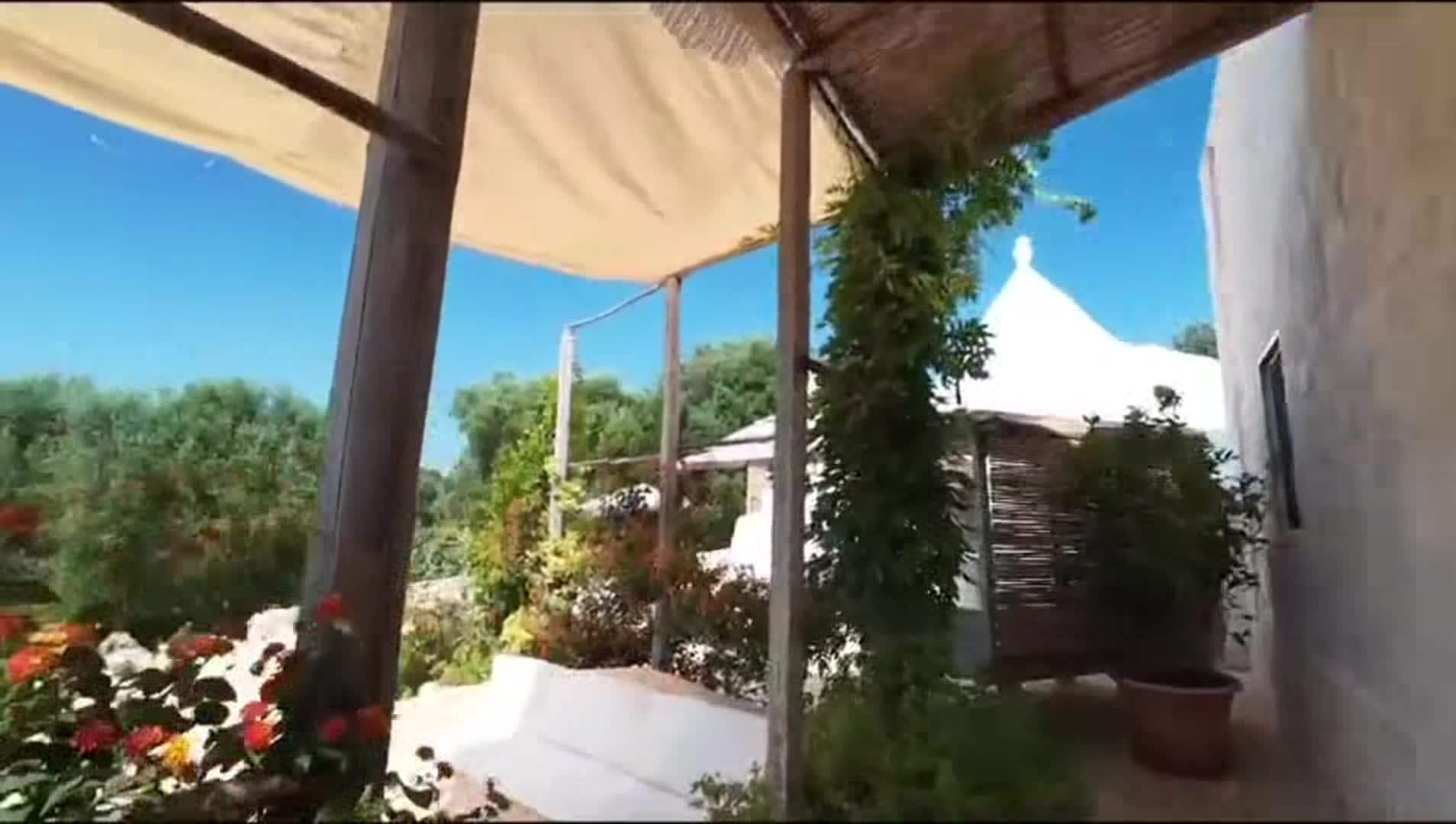 Property video