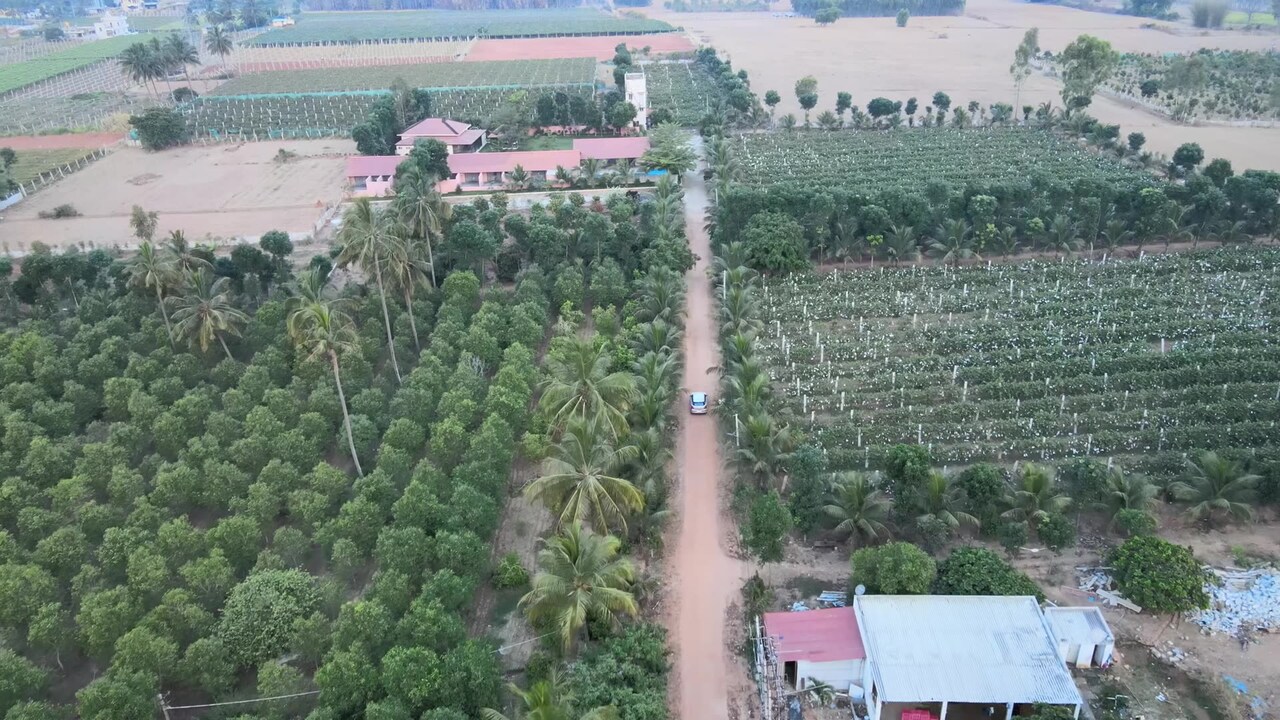 Vidéo de l’hébergement
