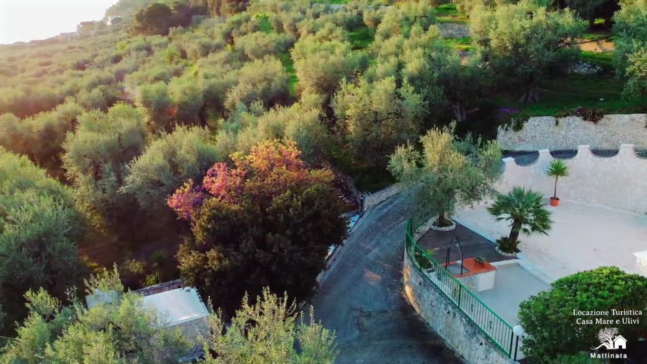 Video realizado por la propiedad